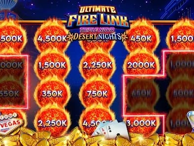 22win 실시간 라이브 카지노 딜러 화면